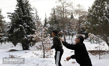 روز برفی در منطقه 13 24