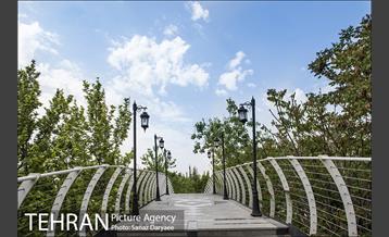 بوستان آزادگان 3