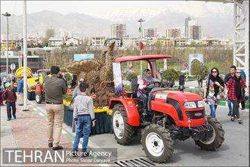 کاروان گل«استقبال از نوروز» در تهران 11
