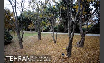 باغ گیاه‌شناسی ملی ایران 30