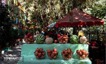 شهرنگار؛ درکه 23