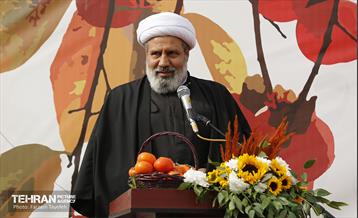 پنجمین جشنواره خرمالوی کن 19