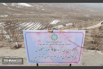 آیین روز درخت‌کاری و پایان پروژه کاشت ۲۵۰۰ هکتار کمربند سبز پایتخت  60