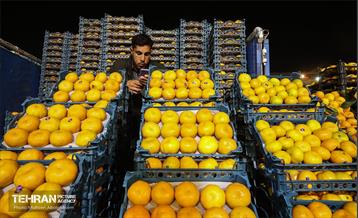 تره‌بار یلدایی 86