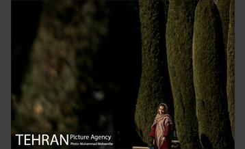 روزهای آفتابی پارک لاله 6