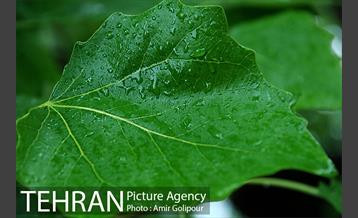 تهران بهاری 3