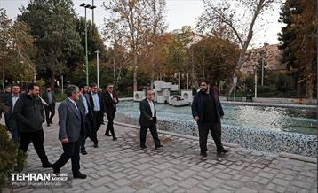 بازدید کمیسیون برنامه و بودجه شورای شهر از پروژه‌های منطقه 11 52