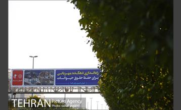 تهران شهری برای همه؛ گزارش به مردم 6