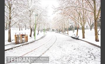 روز برفی تهران در بوستان ملت 14