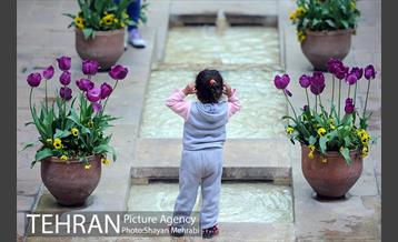 باغ ایراتی (بوستان مهندس مختاری) 21