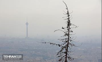 هوای تهران ناسالم است 18