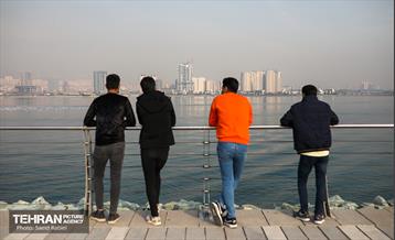 پرندگان مهاجر دریاچه چیتگر 46