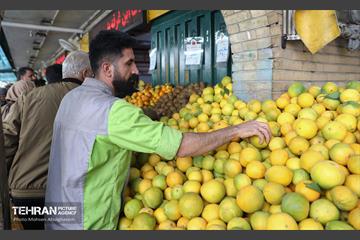 تره‌بار یلدایی 19