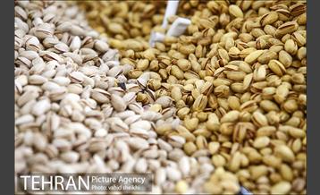 خرید شب یلدا در بازار میوه و تر بار صادقیه 9