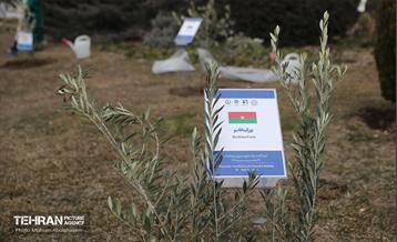 آئین روز درختکاری با حضور سفیران و نمایندگان کشورهای خارجی 8