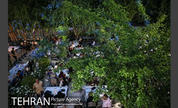 جشن ازدواج دو کارتن خواب بهبود یافته 15