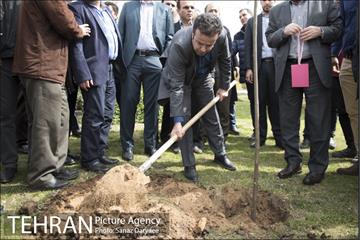 درختکاری و لانه گذاری کبوتر در بوستان بعثت 30