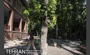 بوستان باغ ایرانی 40