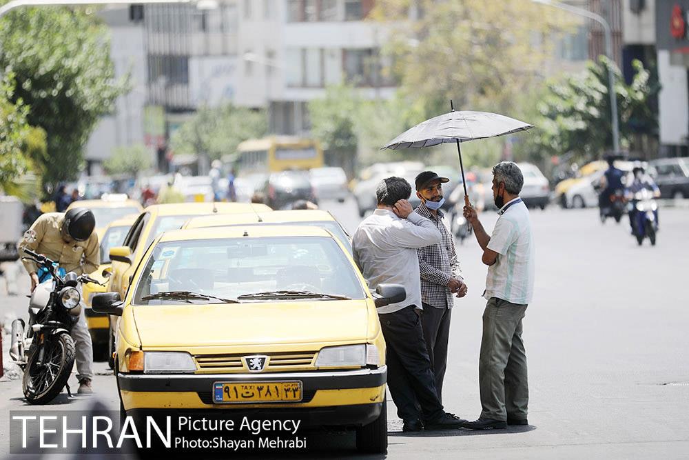 زیر آفتاب سوزان 18