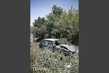 توتستان های طرشت، طعم شیرین طهران قدیم 4