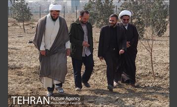 کاشت نهال در بوستان ولایت  37