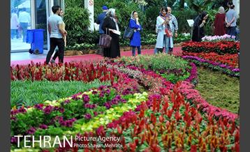 شانزدهمین نمایشگاه بین المللی گل و گیاه تهران - 2 17