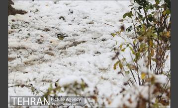 روز برفی تهران در پارک شهر 13