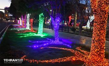 استقبال از بهار - 5 14