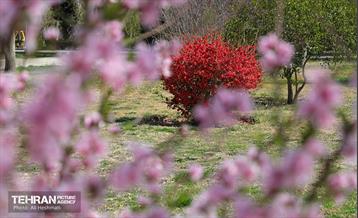 بهار در منطقه 18 23