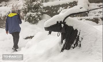 روایت مه‌و‌برف در بوستان سنگی تهران  14