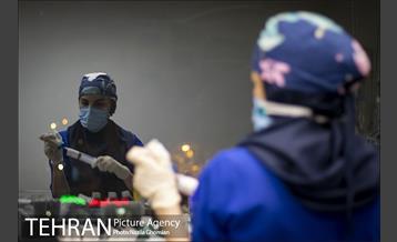 جان تو و جان شهر 24