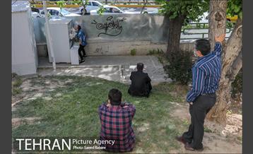 انجام تست رایگان PCR توسط شهرداری تهران 30