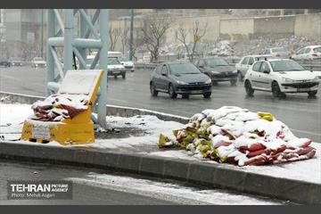 بارش برف زمستانی در منطقه ۲ 1