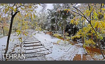 بارش برف پاییزی در بوستان طالقانی 1