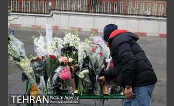 برانکو: آتش نشانان قهرمان هستند