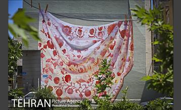 دیوارهای چشم نواز در منطقه 7