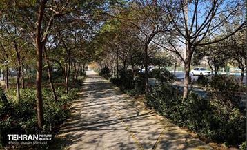 به وقت خدمت؛ باغ‌راه حضرت زهرا(س) محدوده آیت الله سعیدی 71