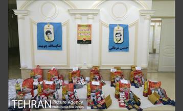 بازدید دکتر حناچى از فعالیت هاى گروه هاى مردمى و جهادى 5