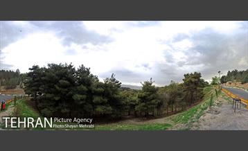 پارک جنگلی لویزان‎ 2