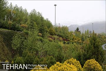 بهار بارانی تهران در روز طبیعت 10