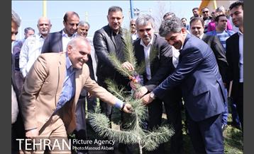 مراسم درختکاری باشگاه سایپا در حضور علی دایی و قهرمانان ملی 13