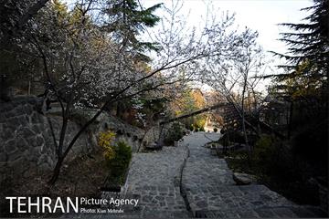بوستان جمشیدیه (باغ سنگی جمشیدیه) 45