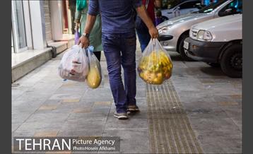 میوه های تابستانه رونق میوه فروشی ها 23