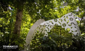 جان دوباره در درختستان 6