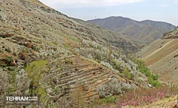 هوای بهاری منطقه 22 18