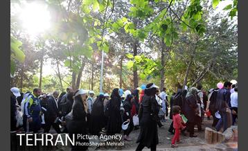 همایش پیاده روی خانوادگی کارکنان شهرداری 4