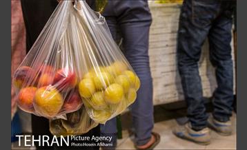 میوه های تابستانه رونق میوه فروشی ها 15