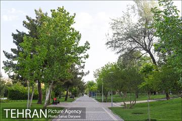 بوستان پلیس 19