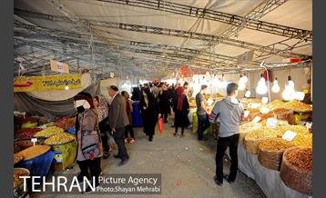 نمایشگاه بهاره در بوستان ولایت 14