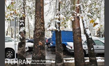 بارش اولین برف پاییزی در تهران 19